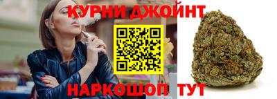 прущие грибы Будённовск