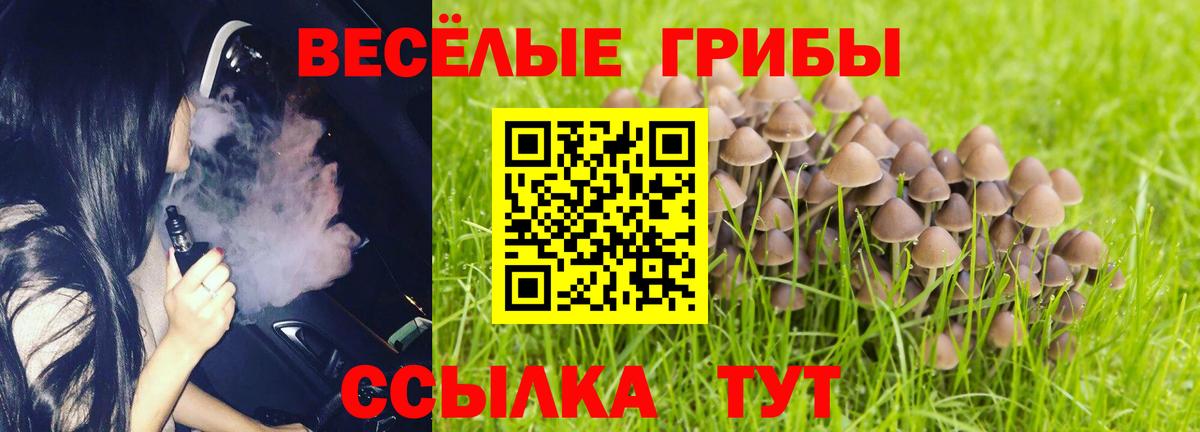 Галлюциногенные грибы ЛСД Партизанск